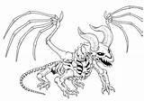 Dragon Skeleton Deviantart sketch template