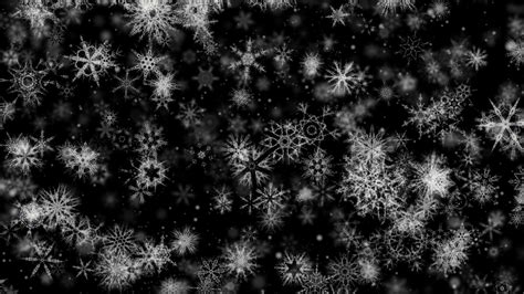pretty snow  downloops creative motion backgrounds