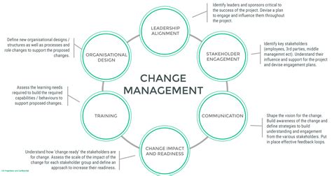 components  change management  set    success