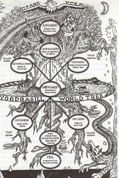 worlds tree  norse mythology roccult