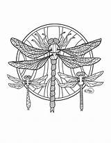 Coloring Dragonfly Pages Adults Dragonflies Adult Stamp Digital sketch template