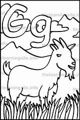 Goat Letter Coloring Outline Flashcard Alphabet Sample sketch template