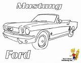 Mustangs sketch template