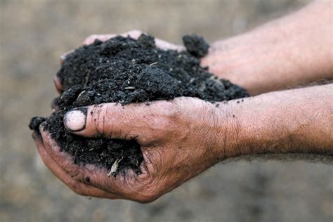agricultural policy govern  soils nature news comment