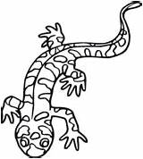 Salamander Coloring Pages Tiger Drawing Printable Realistic Sheet Ausmalbilder Color Pencil Supercoloring Zum Ausmalen Ausmalbild Getdrawings Clipartmag Choose Board Kids sketch template