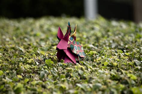 the world s best photos of origami and rabbit flickr hive mind