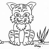 Sketsa Berkaki Hewan Empat Harimau Binatang Sapawarga Digunakan Sering sketch template
