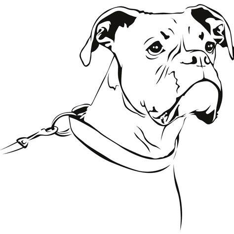 boxer dog drawing  getdrawings