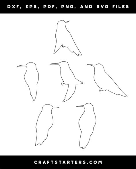 hummingbird outline patterns dfx eps  png  svg cut files
