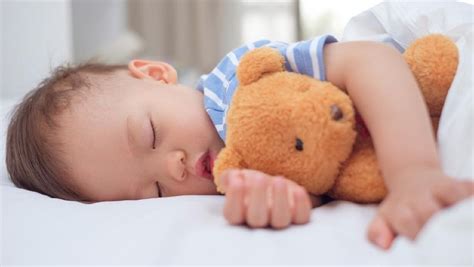 tidur siang bisa tingkatkan kemampuan belajar anak  kata peneliti
