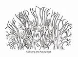 Willows Wind Colouring Book Behance Aimed Addition Designed Use sketch template