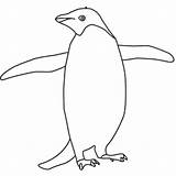 Penguin Adelie Draw Template Coloring sketch template