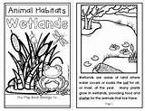 Habitats Wetlands Animal Book Wetland Habitat Grade Science Kids Flap Activities Choose Board Pond Preschool Teacherspayteachers sketch template