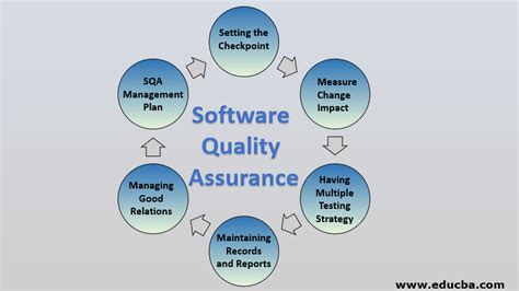 software quality assurance components standards techniques