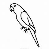 Parrot Macaw Pappagallo Burung Beo Mewarnai Parrots Parakeet Loros Macaws Stampare Ultra sketch template