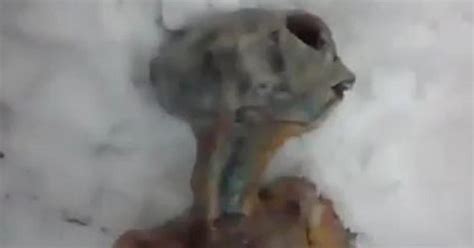 viral video  alien  siberia real nyet cbs news
