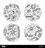 Bacterias Microorganism Compositions Alamy Microorganismos Dibujar Bacteria Celulas sketch template