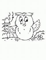 Coloring Pages Nocturnal Animals Popular sketch template