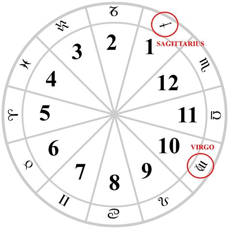 tarot notes sun sign astrology  birth chart transits