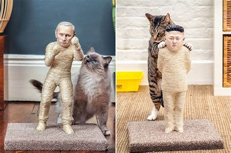 Cats Attack Kim Jong Un And Vladimir Putin As World