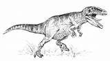 Giganotosaurus Dinozauri Carolinii sketch template