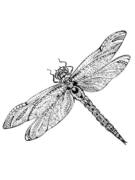 dragonfly coloring pages  adults