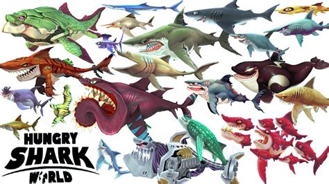 hungry shark world unlocking   sharks android gameplay fhd youtube