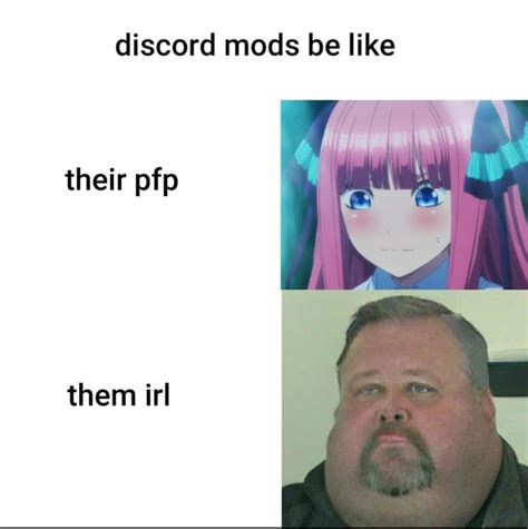 sir memes  discord pfp anime male imagesee