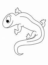 Salamander Coloring Pages Newt Animals Drawing Printable Print Powered Results Bing Kids Book Gif Drawings 76kb 387px sketch template