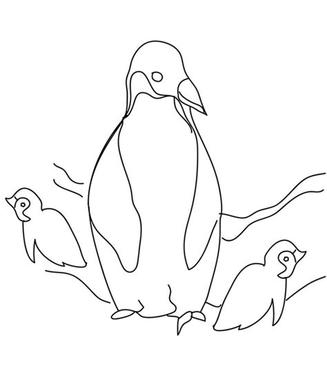penguin coloring pages  printable  kids