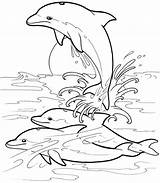 Mewarnai Lumba Delfin Dolphins Pemandangan Ausmalbilder Erwachsene Dover Malen Ikan Sketsa Temonggo Imprimir Hewan Tiere Natureza Warna Ausmalbild Delphin Delfines sketch template