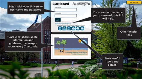 started  blackboard  students elearning support