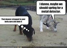 funny metal detecting quotes images metal detecting funny memes