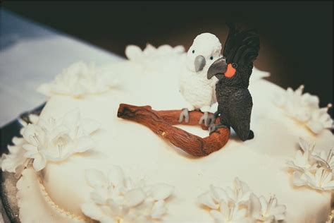 parrot cockatoo wedding cake topper love birds cake topper etsy bird cake topper wedding