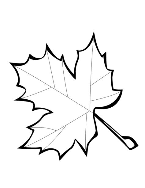 leaves coloring page coloring home