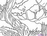 Coloring Trees Forest Rain Rainforest Clipart Jungle Pages Library Moss sketch template