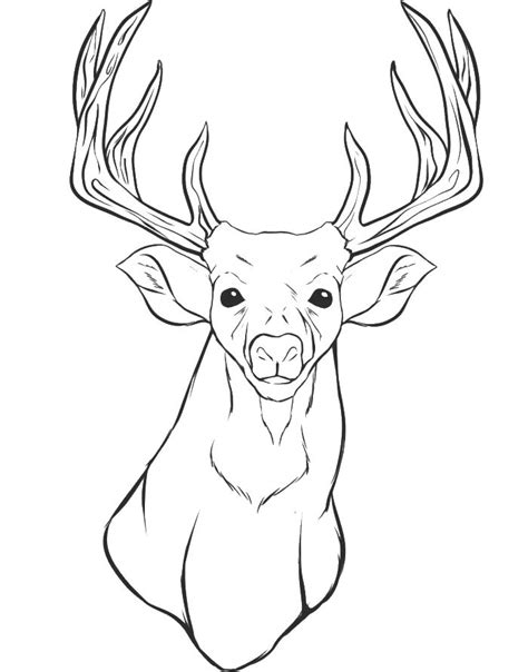 reindeer head drawing  getdrawings
