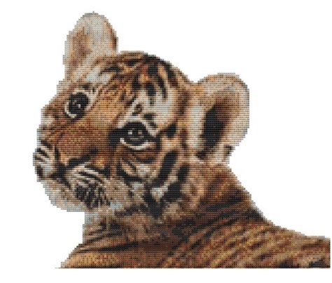 cross stitch kit tiger cub  cm   cm  count etsy