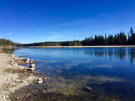 national parks park visitors enjoy yellowstone lake