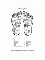 Reflexology Chart Sample Pages Formsbirds sketch template