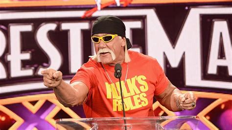 Wwe Puts Hulk Hogan Back In Hall Of Fame Three Years After Firing Him