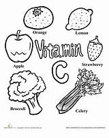 Foods Glow Grow Go Vitamin Drawing Rich Vitamins Food Color Kids Preschool Worksheet Worksheets Easy Facts Groups Nutrition Healthy Education sketch template