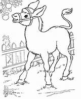 Donkey Coloring Pages Baby Donkeys Getcolorings Color Colorir sketch template