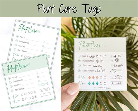 plant care tags printable plant care sheet plant care etsy  xxx hot