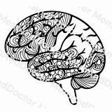 Neurology sketch template
