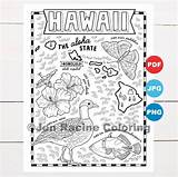 Hawaii States sketch template
