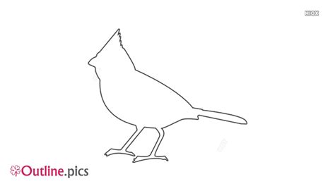 cardinal bird outline images