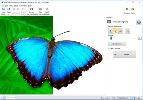 photo background remover software  pc