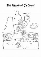 Parable Coloring Sower Pages Getdrawings Getcolorings sketch template