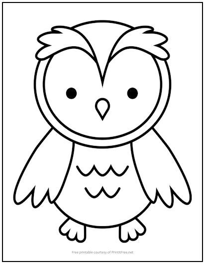 baby owl coloring page print
